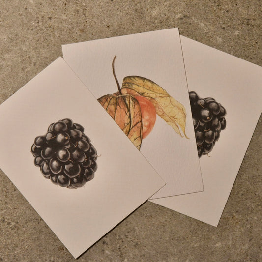 Three gift cards with fruit pictured on the front are laid out